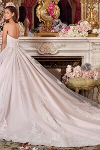 dp354-back.jpg