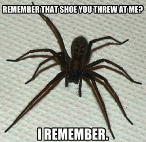 remember-that-shoeyouthrew-atime-i-remember-memecenter-com-memetenlerar-spiders-4258252.png