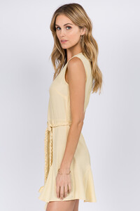 0005085_v-neck-mini-dress.jpeg