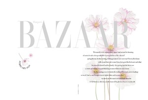bec020120BZNimage20.jpg