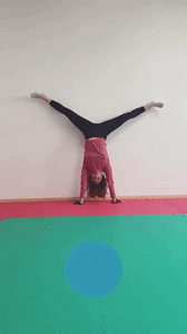 giphy (1).gif