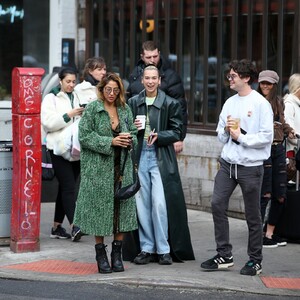       lip110120BZNimage7.jpg