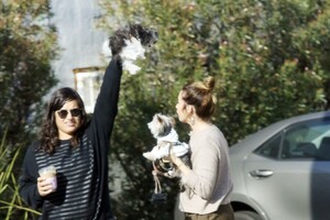       tis140120BZNimage25.jpg