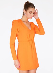 19WD2012-ORANGE-0210.thumb.jpg.1e057a26c81e92916a6d1804d4ea5844.jpg