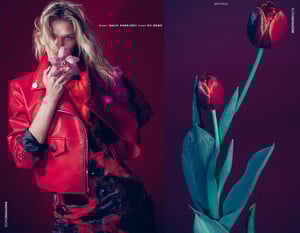 2054153488_elvesmagazine-2.thumb.jpg.6a3b21eb0bea964e076f60b47fc8cfc1.jpg