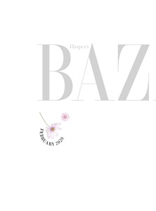 bec020120BZNimage4.jpg