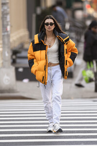 rat020120BZNimage10.jpg