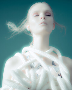 Adam-Trzaska_Fallen-beauty-17-11.thumb.jpg.e0763dc29bd15aa99ca7ffe13dfedf57.jpg