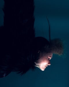 Adam-Trzaska_Fallen-beauty-17-31.thumb.jpg.b9181e641003c5cff1f1721f79d094cc.jpg
