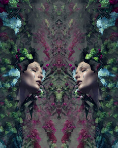 Adam-Trzaska_Fallen-beauty-17-42.thumb.jpg.476f14a89ba6f2da88b0cf1f29851d6e.jpg