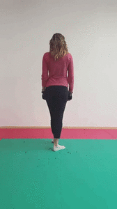 giphy.gif