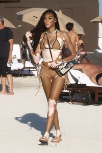 winnie-harlow-in-a-bikini-on-the-beach-in-miami-01-01-2020-3.jpg