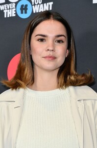        mit130220BZNimage102.jpg