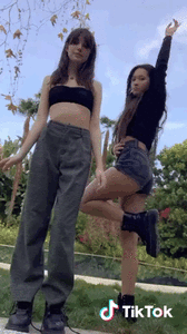 131E2258-F26E-42E3-8E1E-8C240A883EA3.gif