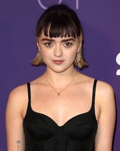        wil130220BZNimage101.jpg