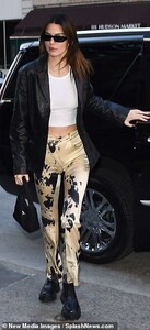 24753140-8005535-Galentine_s_Kendall_Jenner_wore_some_cow_hide_satin_pants_and_a_-a-4_1581728802848.jpg