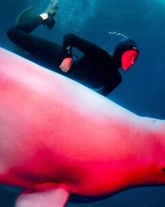 B7E27337-5BD8-4996-BA52-BB507975D23D.jpeg