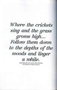 crickets1.jpg