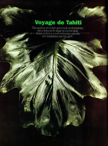 img888-page-018.jpg