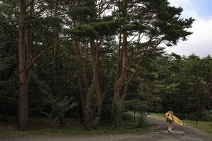 1214229-800w.thumb.jpg.238201b3cb1cff951e30d5e1b355bb17.jpg