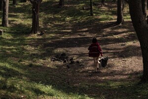 1214230-800w.thumb.jpg.0c6804683524e5f3b16ac864a0fa603b.jpg