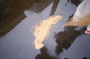 1226176-800w.thumb.jpg.0b1d631ff443a1b55df167c54a4356e9.jpg