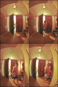 1288136-800w.thumb.jpg.950bc31e87cb564a9e94762021bf1a28.jpg