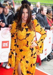         sno110320BZNimage7.jpg