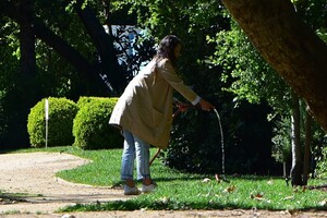         jor250320BZNimage102.jpg
