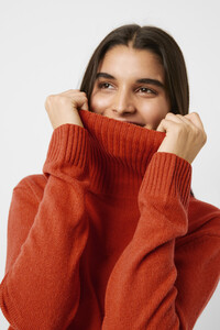 78mcv-womens-de-cinnamonstick-cashmere-blend-roll-neck-jumper-7.jpg