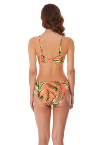 AS6864-CTE-back-Freya-Swim-Birds-In-Paradise-Cantaloupe-Bikini-Brief.jpg