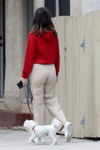        ana120420BZNimage109.jpg