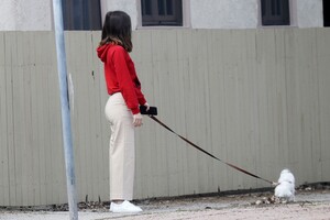        ana120420BZNimage101.jpg