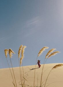 12 069A4800_R1_99a55f75-71be-40ad-8ec2-a1c0a2356da4.jpg