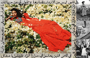 3siWTh8B_o.thumb.jpg.bd90ad0815aad890dcc4e5b9c8db08eb.jpg