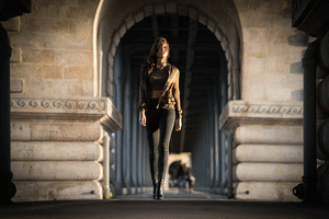 6.gif