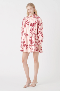 S1-19AJ5111FW-mimosabroderiesmockdress-bottlebrushbroderie-19764-Aje-0352.jpg