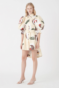 S38-19AJ5108FW-eucalyptpuffsleeveshirtdress-gumnut-19764-Aje-0312.jpg