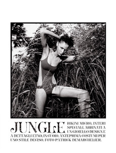 jungle04_bwpd01.jpg