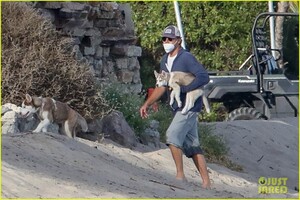 leo-dicaprio-jack-jill-huskies-walk-beach-01.jpg