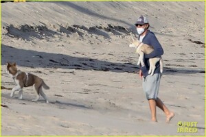 leo-dicaprio-jack-jill-huskies-walk-beach-02.jpg