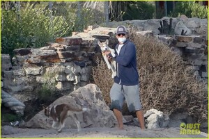 leo-dicaprio-jack-jill-huskies-walk-beach-03.jpg