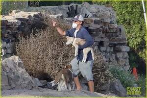 leo-dicaprio-jack-jill-huskies-walk-beach-15.jpg