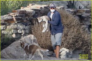 leo-dicaprio-jack-jill-huskies-walk-beach-16.jpg