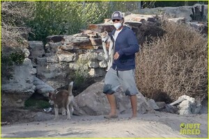 leo-dicaprio-jack-jill-huskies-walk-beach-18.jpg