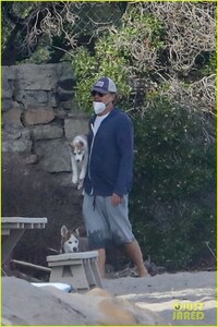 leo-dicaprio-jack-jill-huskies-walk-beach-29.jpg