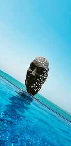 10.gif
