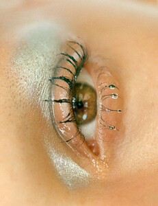 1230056-800w.thumb.jpg.a8ac743333239c832bc64f9de0b3b643.jpg