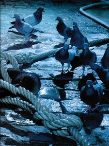 ARCHIVIO - Vogue Italia (July 2007) - Close-up - 003.jpg