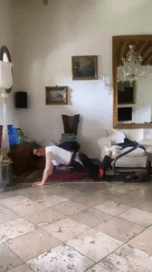 giphy (5).gif